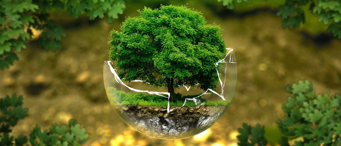 9 Compelling Reasons to Hire Environmental Consultants