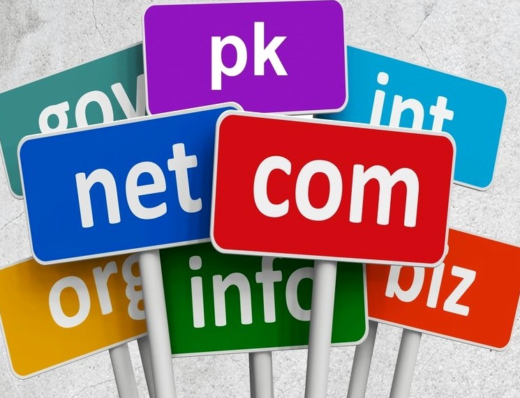 A Few Fundamental Tips to Buy a Cheap PK Domain Name: