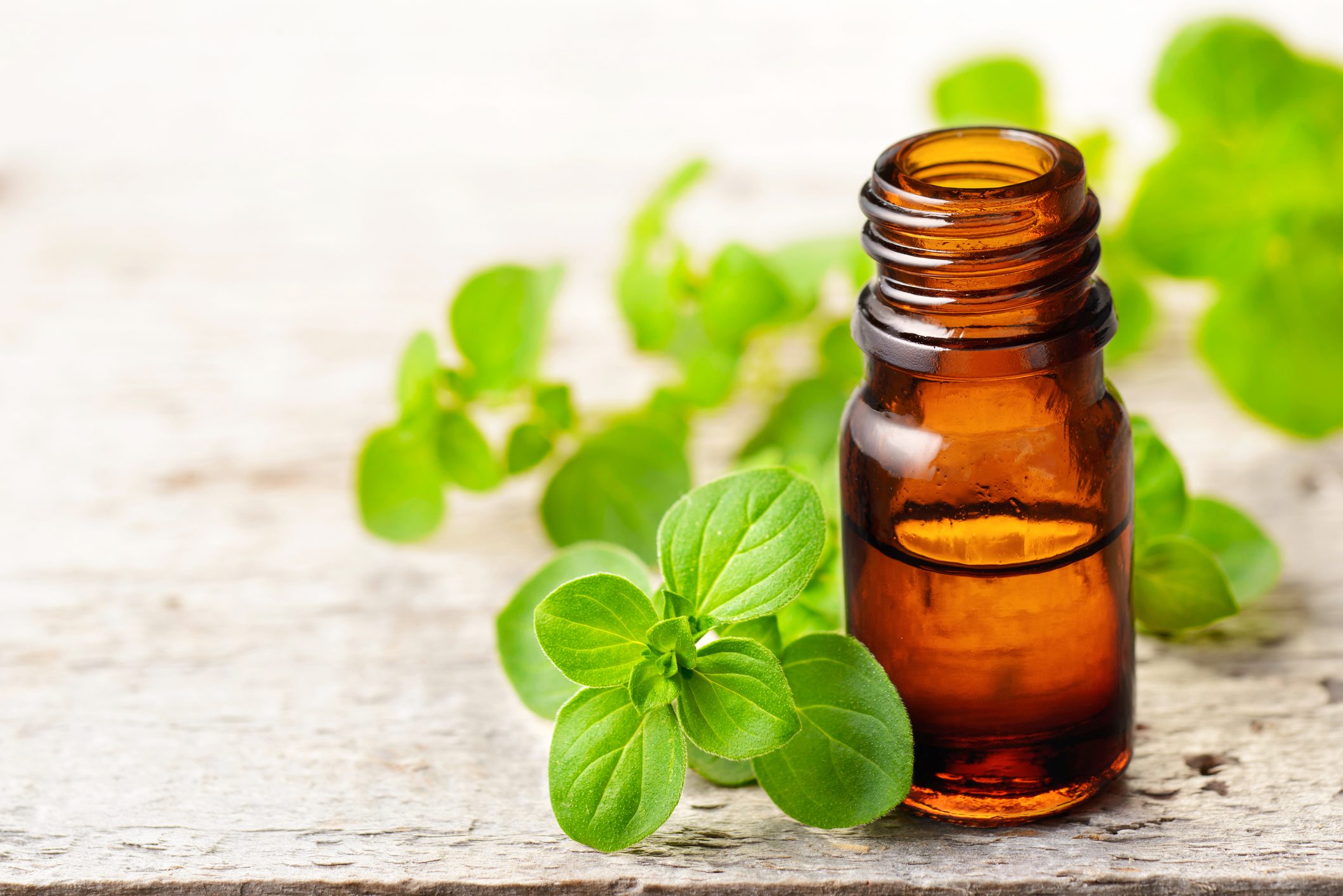 Why Oregano Oil Is All the Rage?