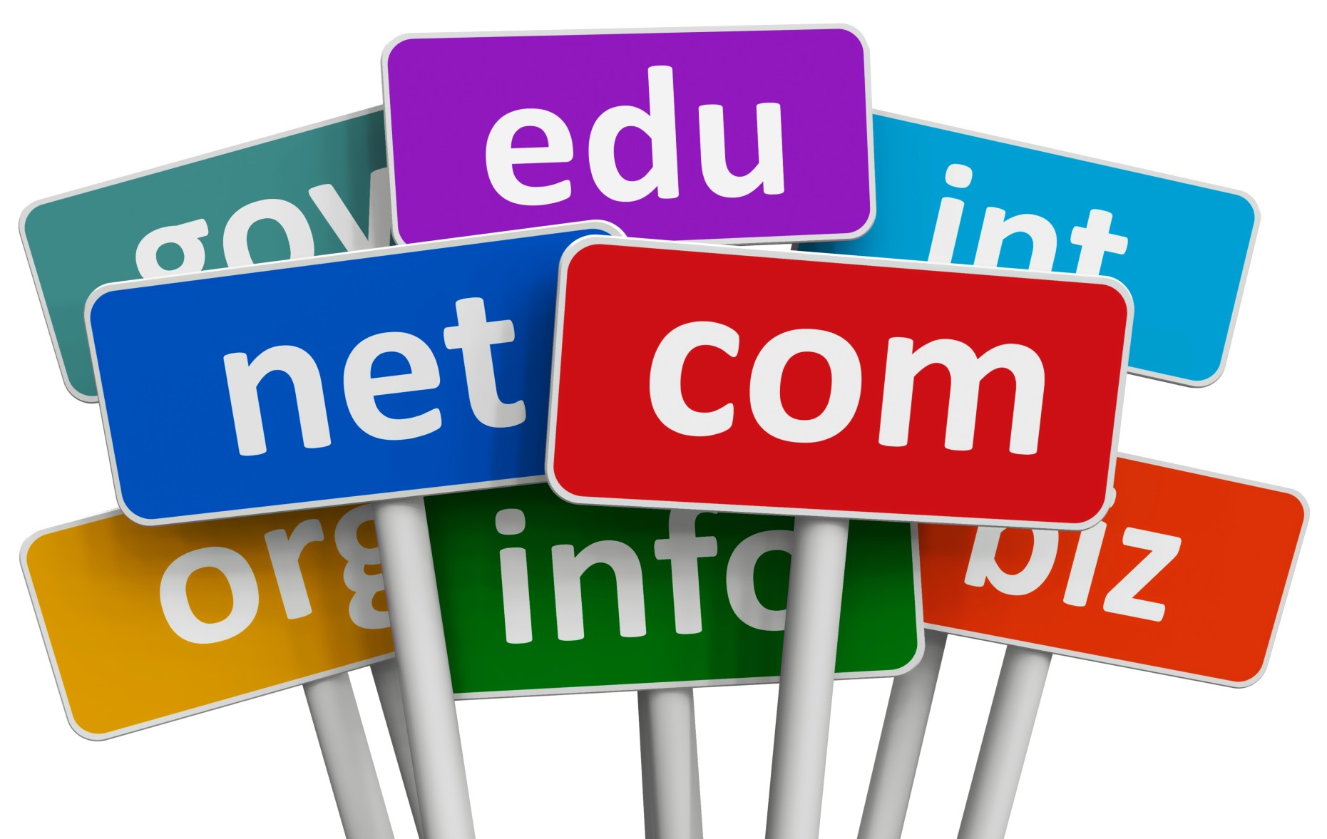 Tips for Domain Name Registration and Nuts and Basics for You