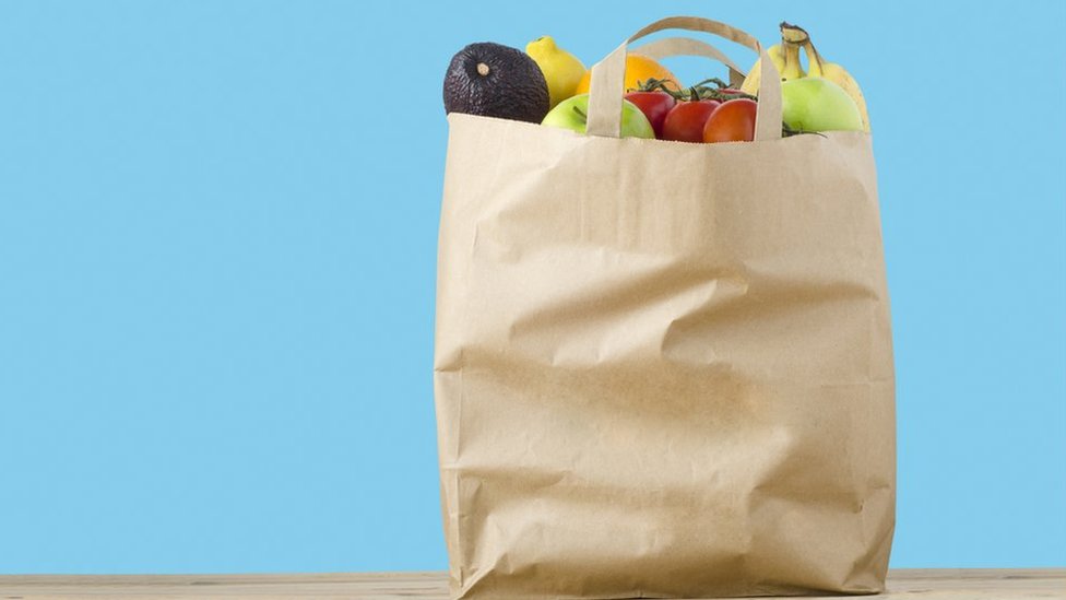 The Best Eco-Friendly Alternative to Plastic Bags