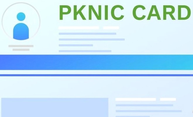 What Is the Methodology for Purchasing a Pknic Prepaid Card?