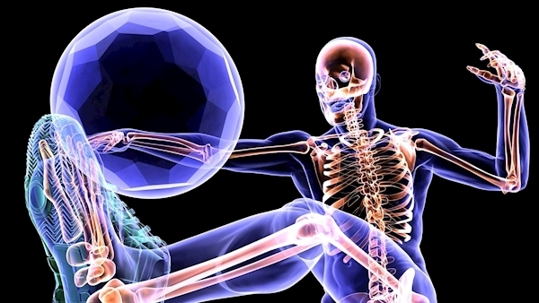 11 Ways to Bone up on the Health of Your Skeleton!