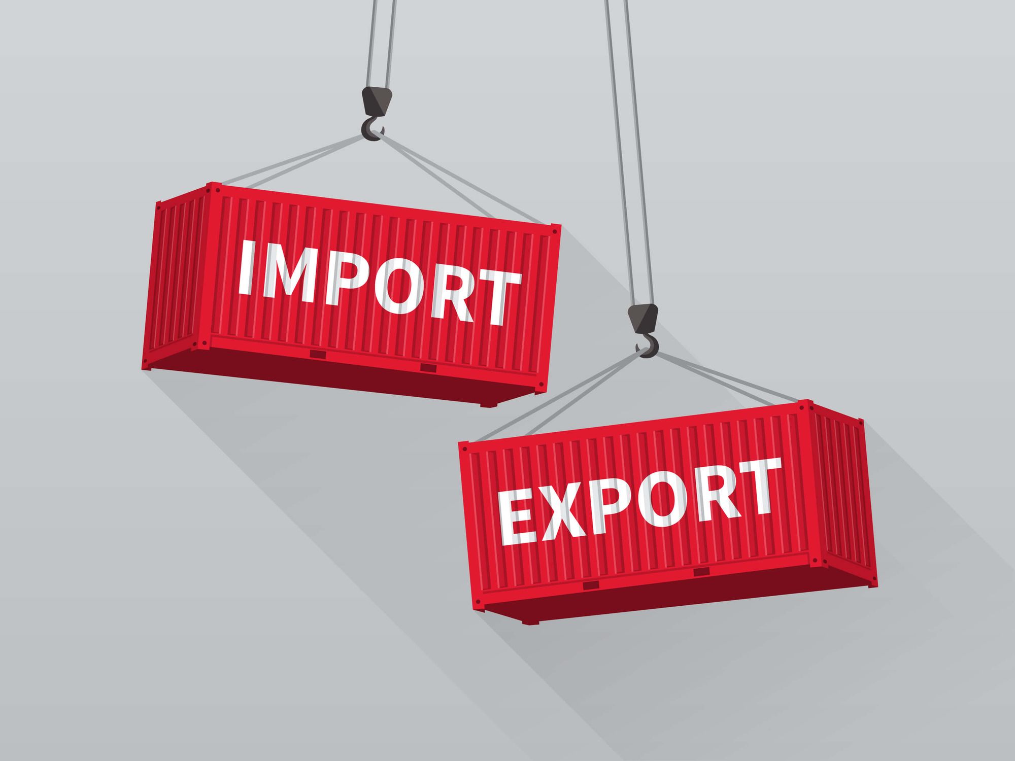 What Is Import Export? What Is the Procedure for It?