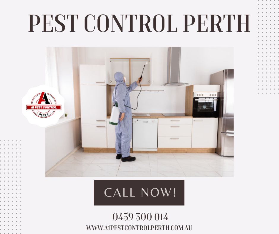 Tips to Find the Best Perth Pest Control for Bee Removal Service