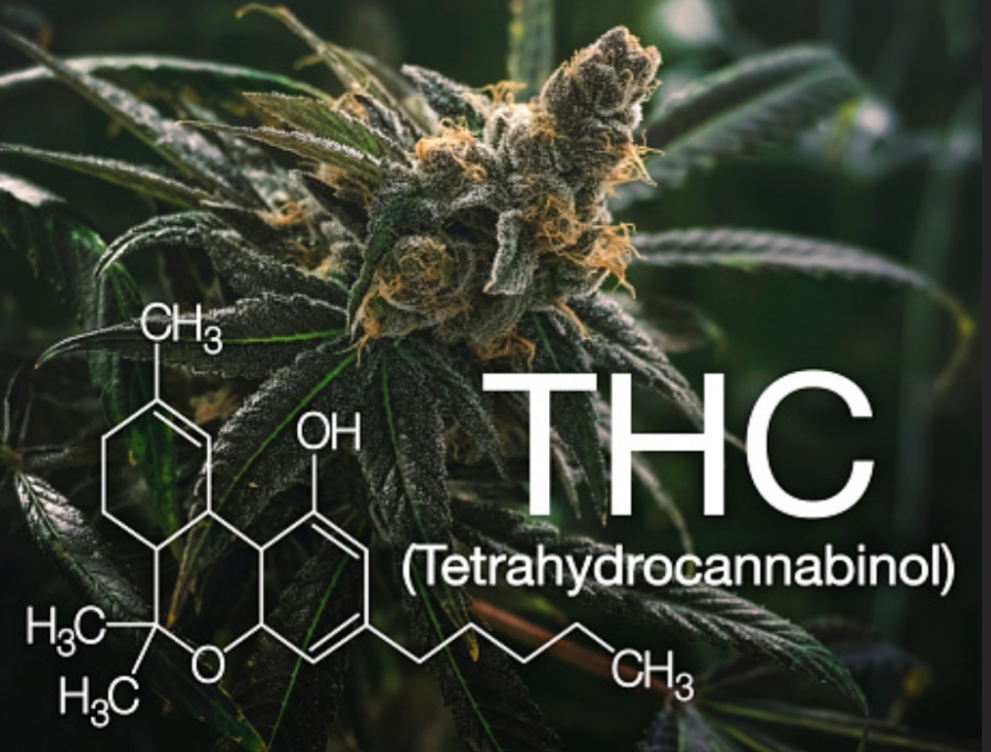 The Myths and Facts Behind THC Cartridge