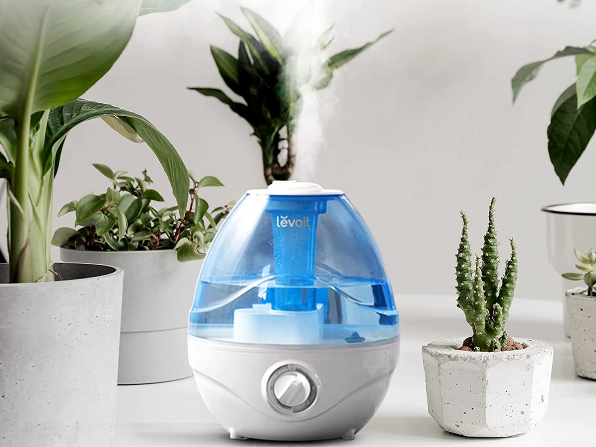 Why Should You Invest in a Central Air Humidifier?
