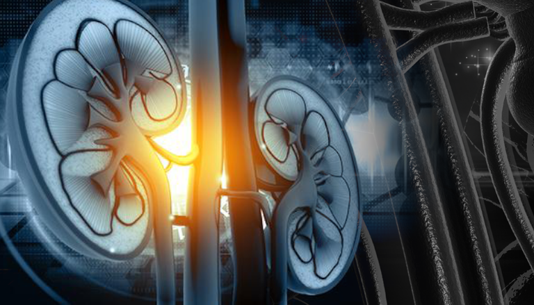 Renal Denervation Market Growth Factors, Opportunity, Segments, and Key Player�s Analysis