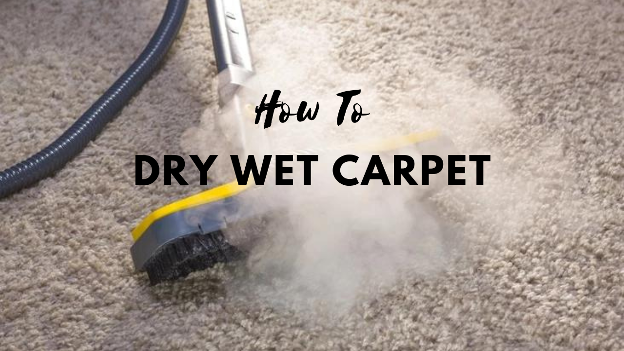 How to Dry Wet Carpet Without Vacuum - 2023 Guide