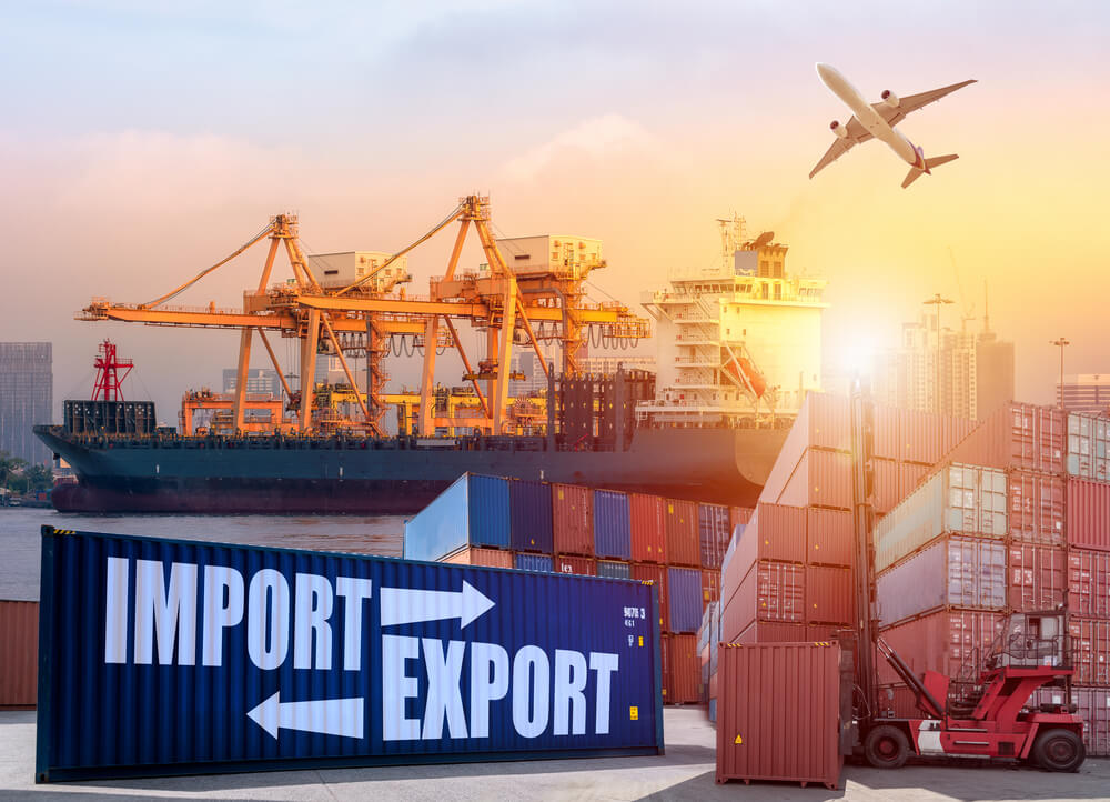 Complete Guide on Import Export License Registration Online