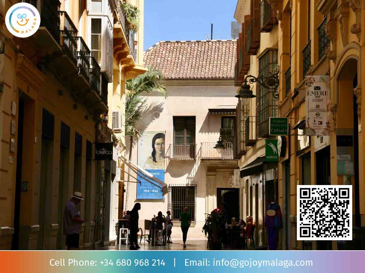 Examine the Malaga Hop on Hop off Tours (gojoymalaga.com)