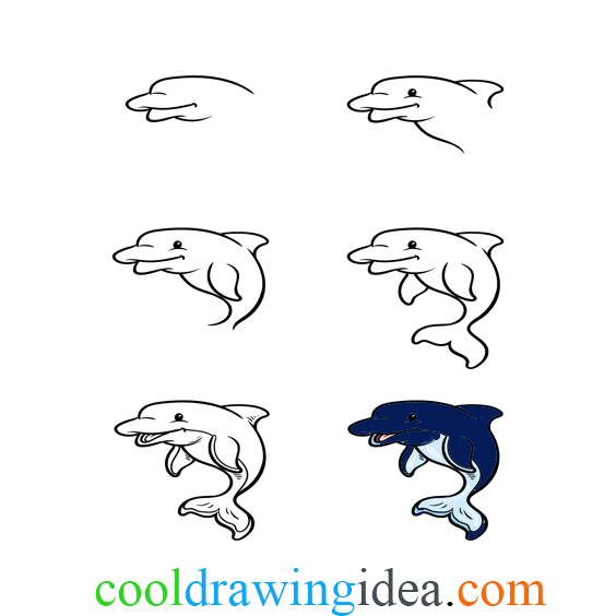 Cartoon Dolphin Drawing Tutorial