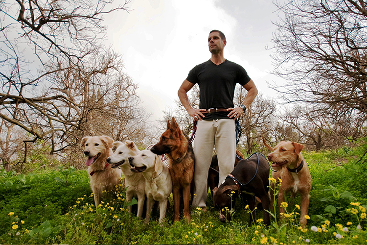 Professional Dog Trainer What You Need to Know?