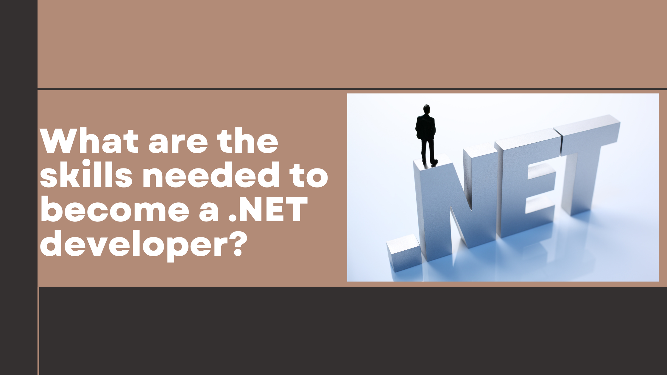 What Are the Skills Needed to Become a .Net Developer?