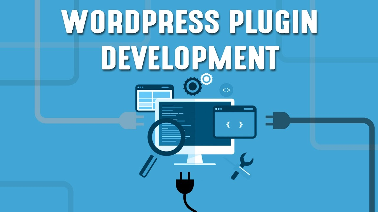 What You Can Expect From WordPress Plugin Development Companies