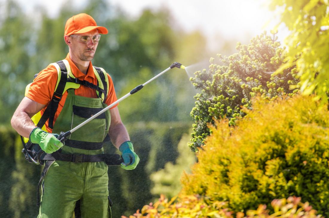 10 Things to Know Before Spraying Insecticide