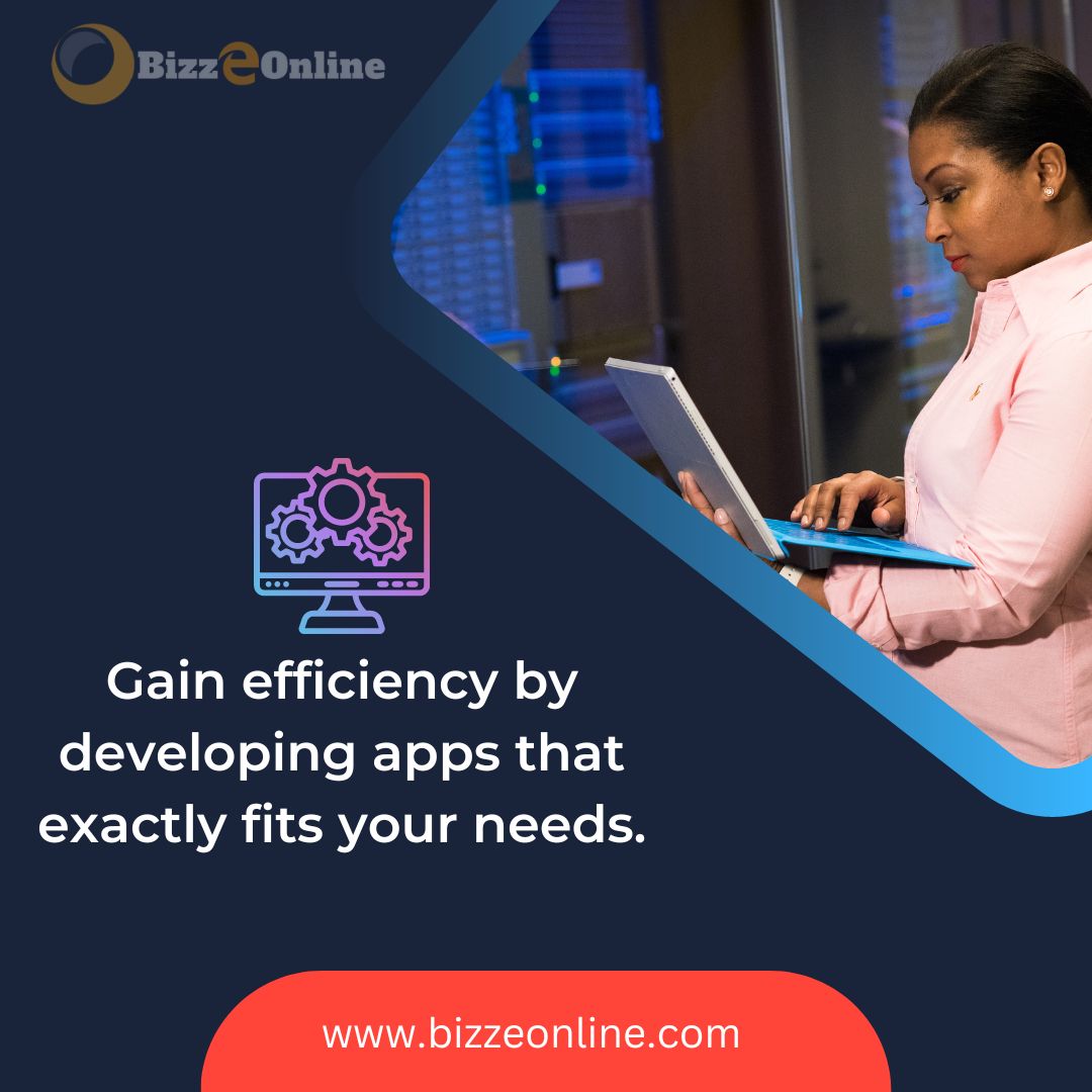 Hiring a Software Development Company or an Employee