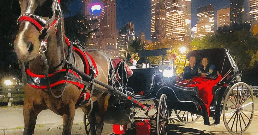 Planning a Carriage Ride in New York? Start Here