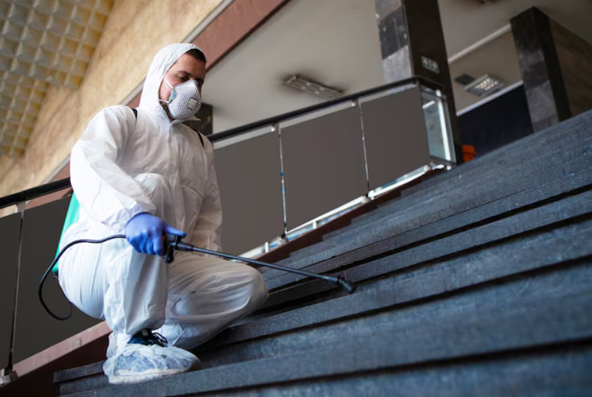 Rodent Proof Insulation Vs Pest Resistant Insulation — What's Actually Different, If Anything
