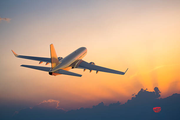 Qatar Airways Alexandria Office 
