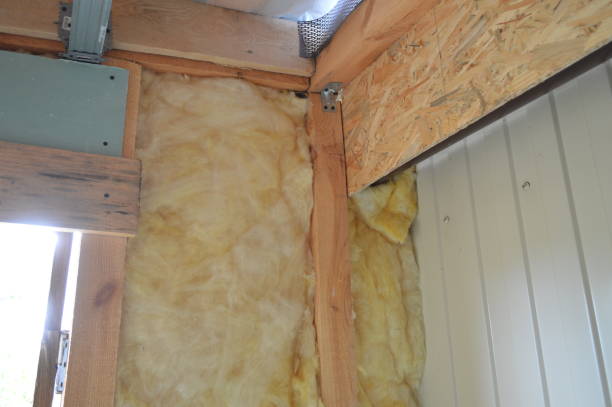 Is Rodent Proof Insulation Real, or Just Marketing Hype?